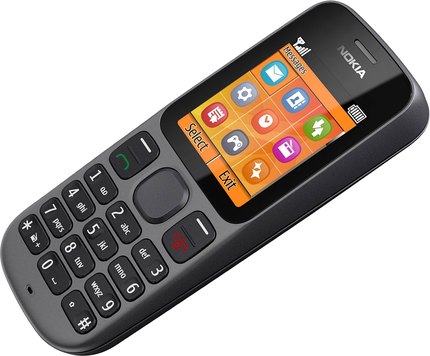 Nokia 100