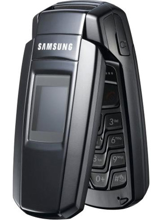 Samsung SGH-X300